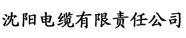 鲁先生pro电缆厂logo